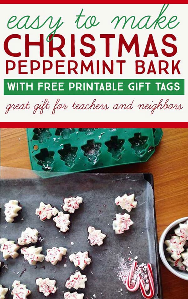 Easy Christmas Bark Recipe DIY Gift Idea Fun Loving Families